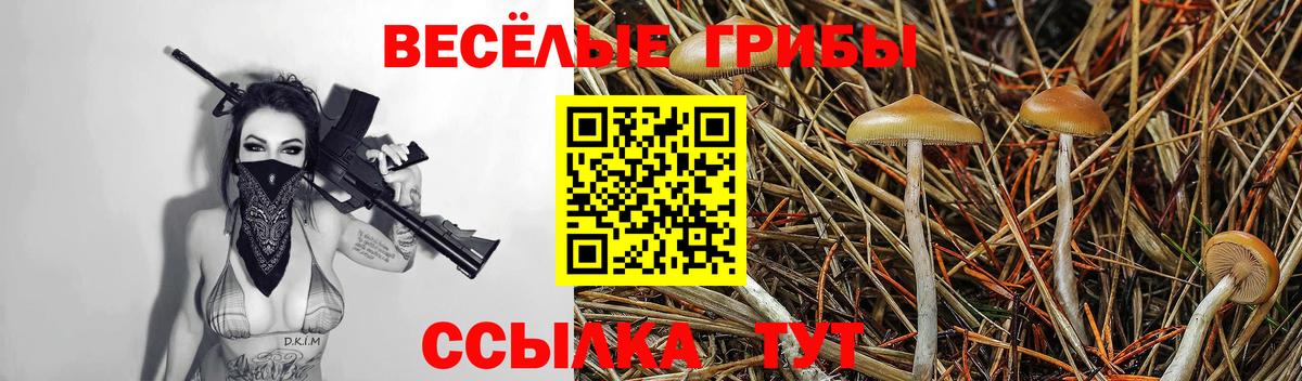 Дербент  Галлюциногенные грибы мухоморы  Вход с VPN  Галлюциногенные грибы GOLDEN TEACHER 